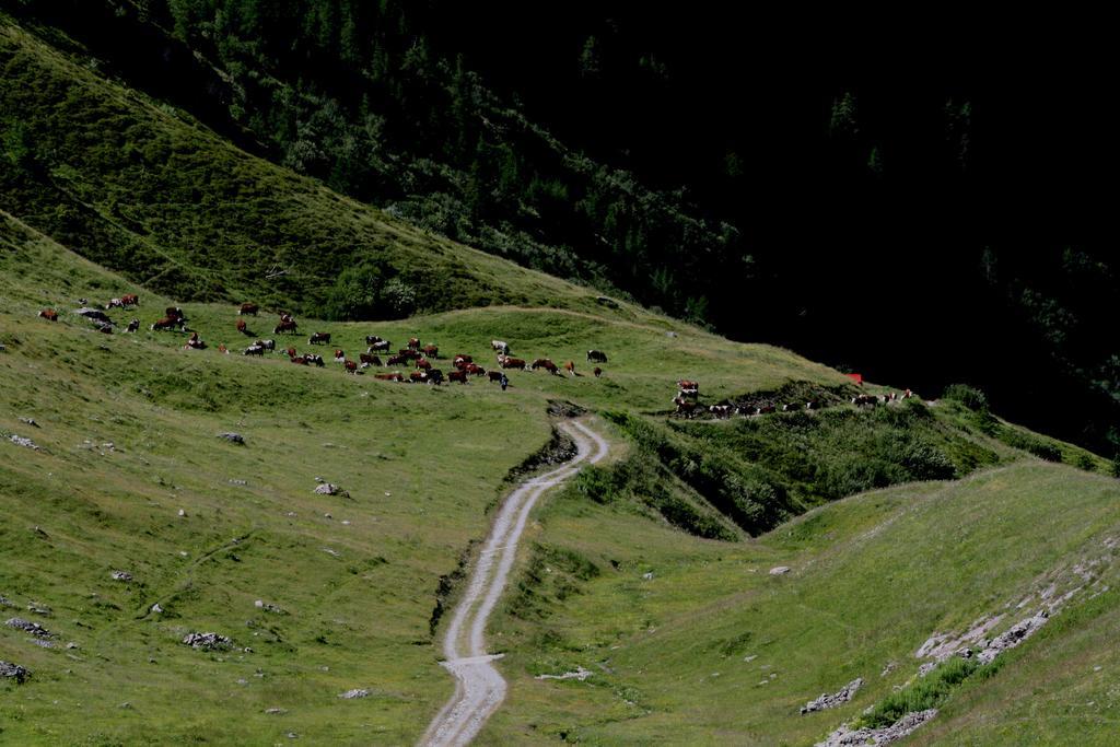 Baita La Jolie Bergere La Salle Exteriér fotografie