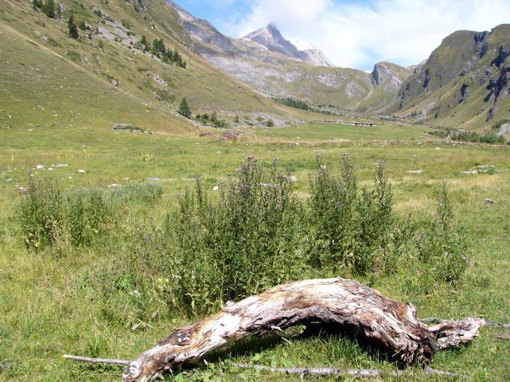 Baita La Jolie Bergere La Salle Exteriér fotografie